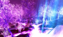 Crystalsong Forest