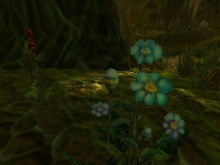 Esküszöm hogy az egy szakállas törpe sapkában.