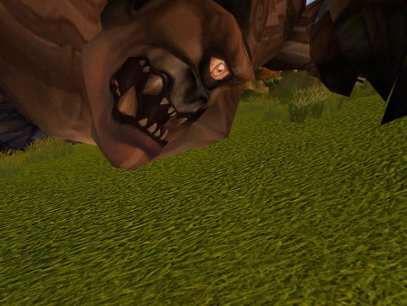 nem sikerült jól lekapni, nyáladznia is kellene...