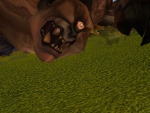 nem sikerült jól lekapni, nyáladznia is kellene...