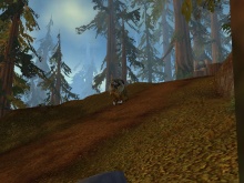 Formban nem lehet lovagolni?