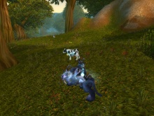 MOST és késöbb... :)