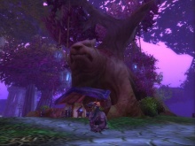 Kis maci, NAGY maci!