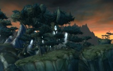 Felhasadt föld erdeje