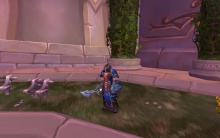 Neolos Belo'zaram - High elf RP set