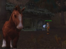 A Ló volt elöbb vagy Tirion?