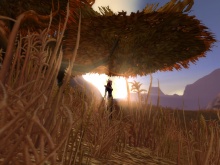 Naplemente Barrensen