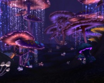 Gombaerdő a föld mélyén