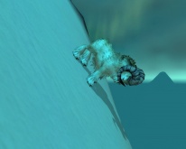 Ez meg hogy került oda???