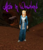 Alice in WoWland?